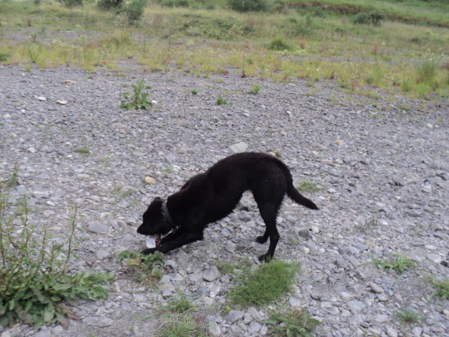 Name:  picture 9742.jpg
Views: 134
Size:  164.0 KB
