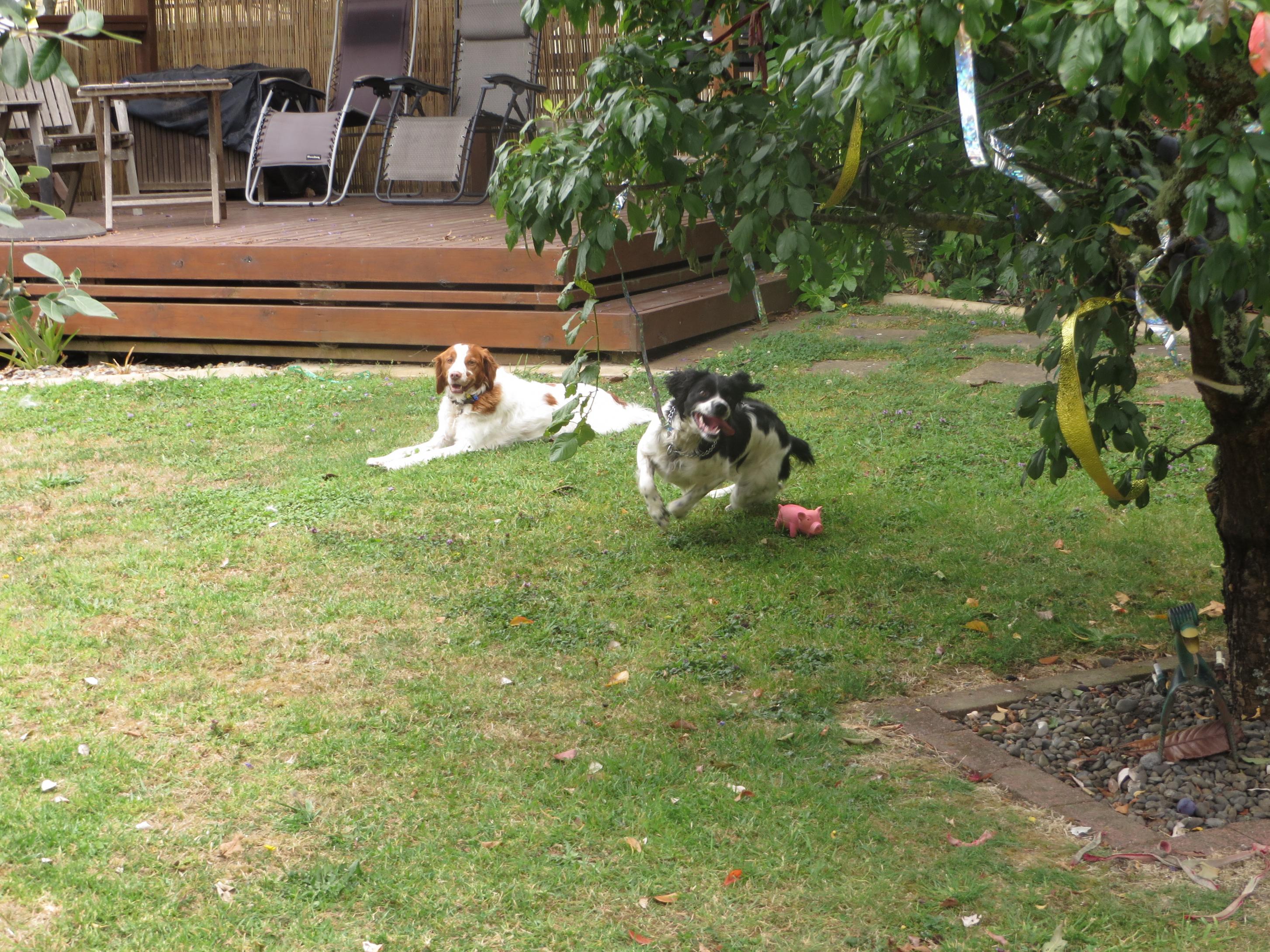 Name:  IMG_3204.jpg
Views: 389
Size:  1.06 MB
