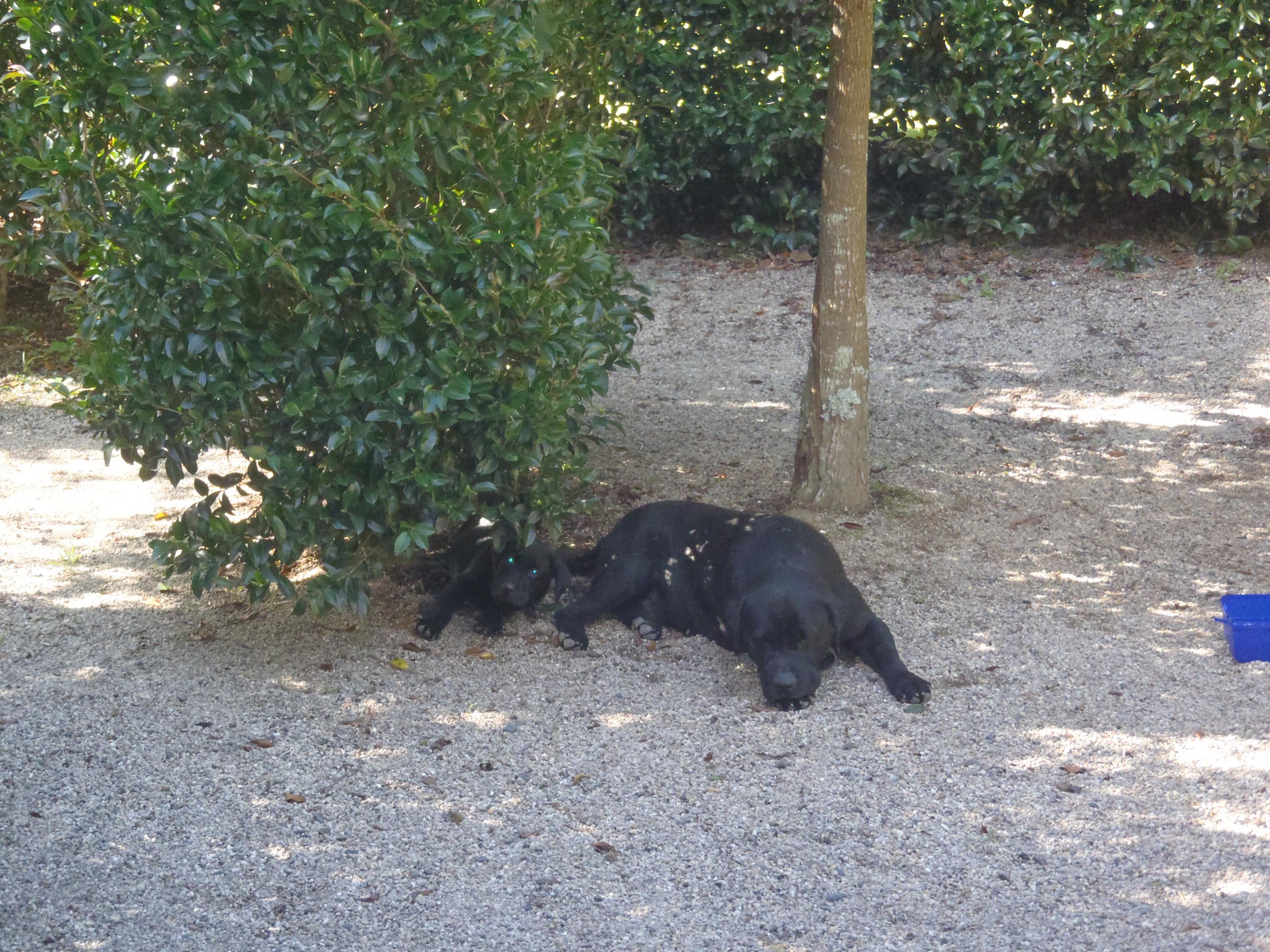 Name:  015.jpg
Views: 396
Size:  1.13 MB