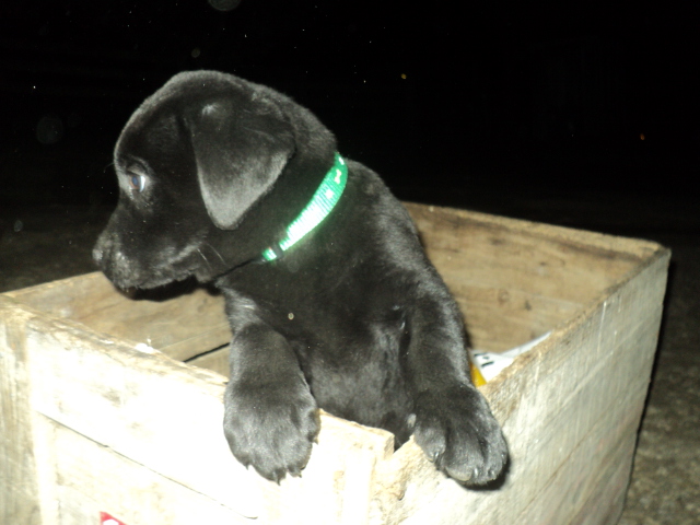 Name:  810.jpg
Views: 550
Size:  161.1 KB