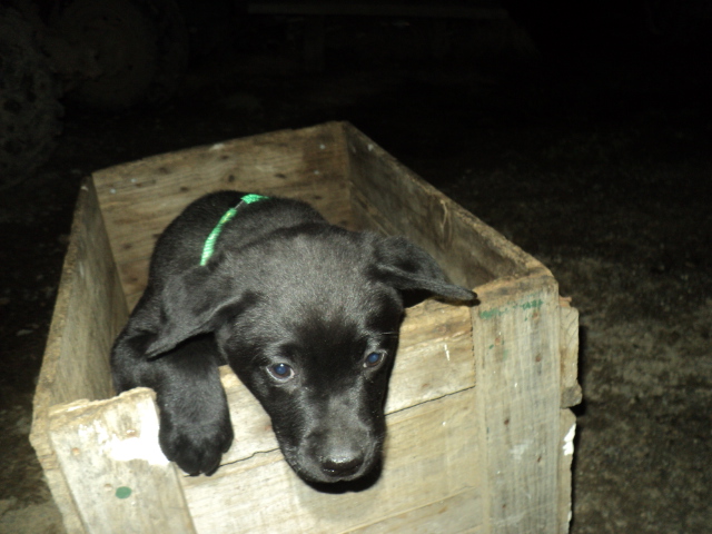 Name:  811.jpg
Views: 536
Size:  159.5 KB