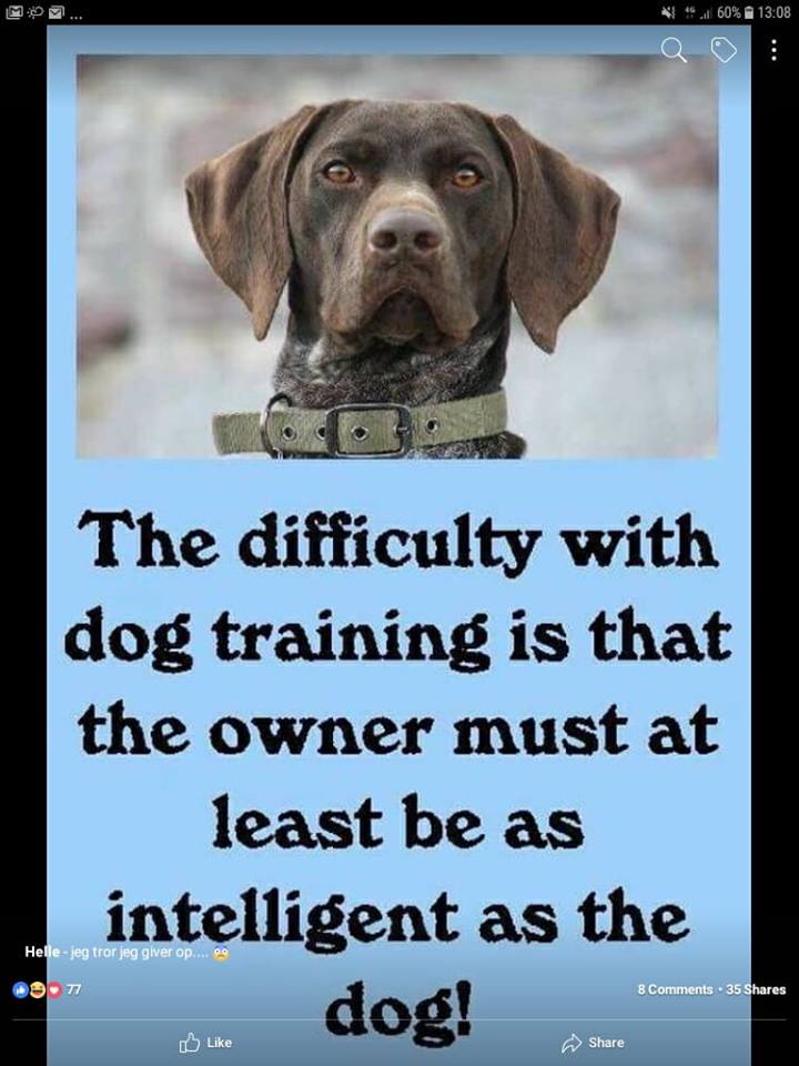 Name:  dogtraining.jpg
Views: 506
Size:  73.1 KB