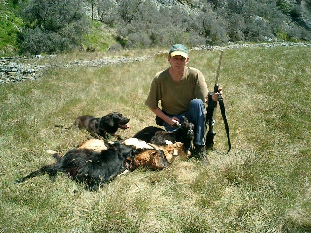 Name:  first 4 goats,7mm-08.jpg
Views: 317
Size:  175.5 KB