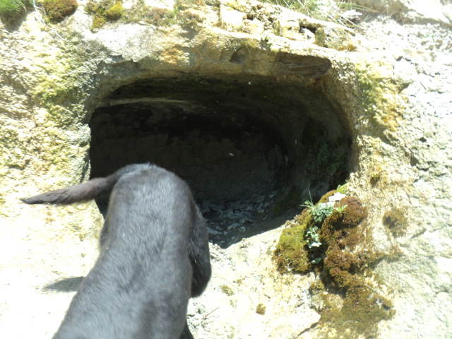 Name:  picture 01 2794.jpg
Views: 273
Size:  165.2 KB