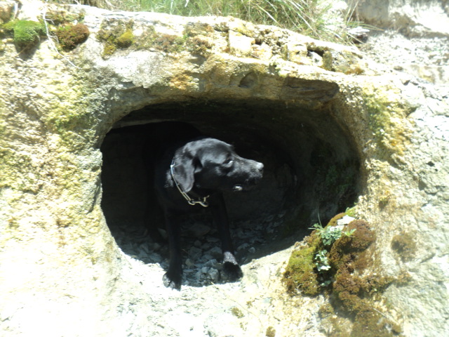 Name:  picture 01 2792.jpg
Views: 285
Size:  164.7 KB