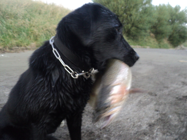Name:  picture 01 2527.jpg
Views: 225
Size:  164.0 KB