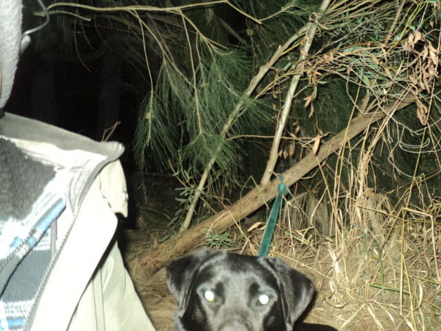 Name:  picture 01 3078.jpg
Views: 463
Size:  164.4 KB