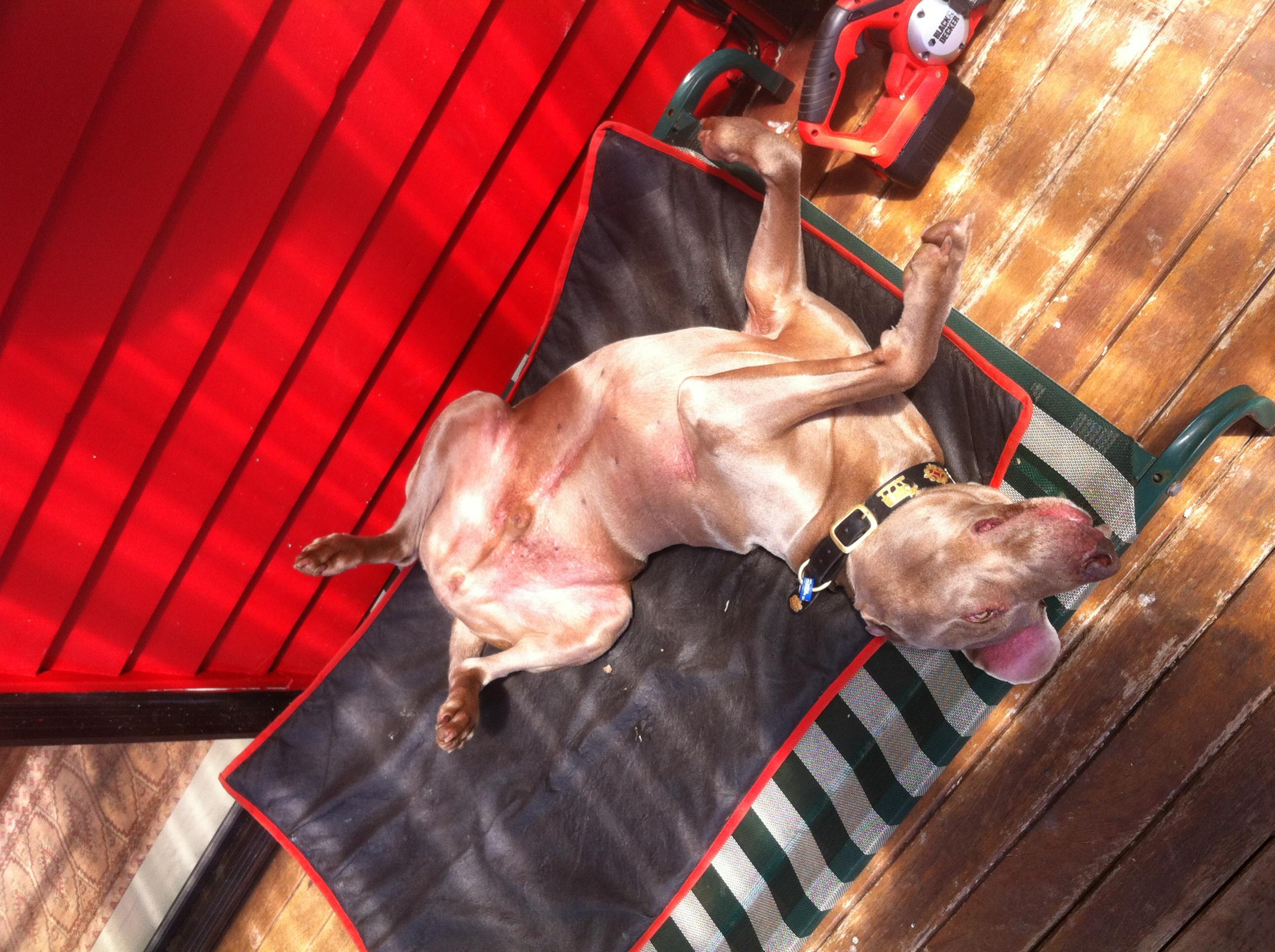 Name:  photo.jpg
Views: 468
Size:  644.3 KB