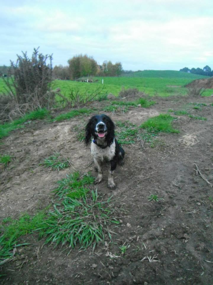 Name:  farm.jpg
Views: 365
Size:  83.6 KB