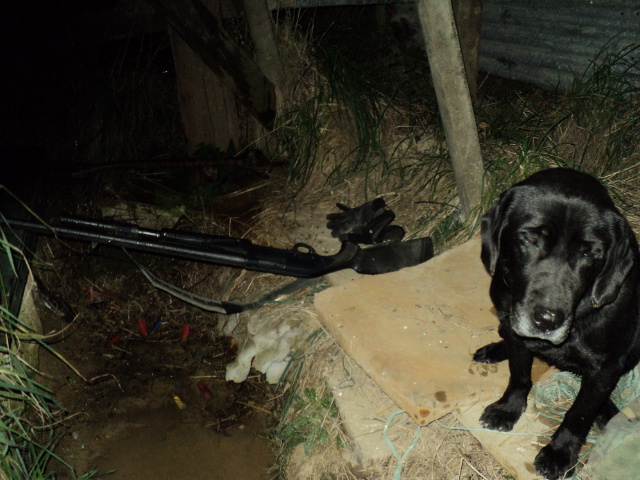 Name:  picture 1907.jpg
Views: 512
Size:  164.9 KB