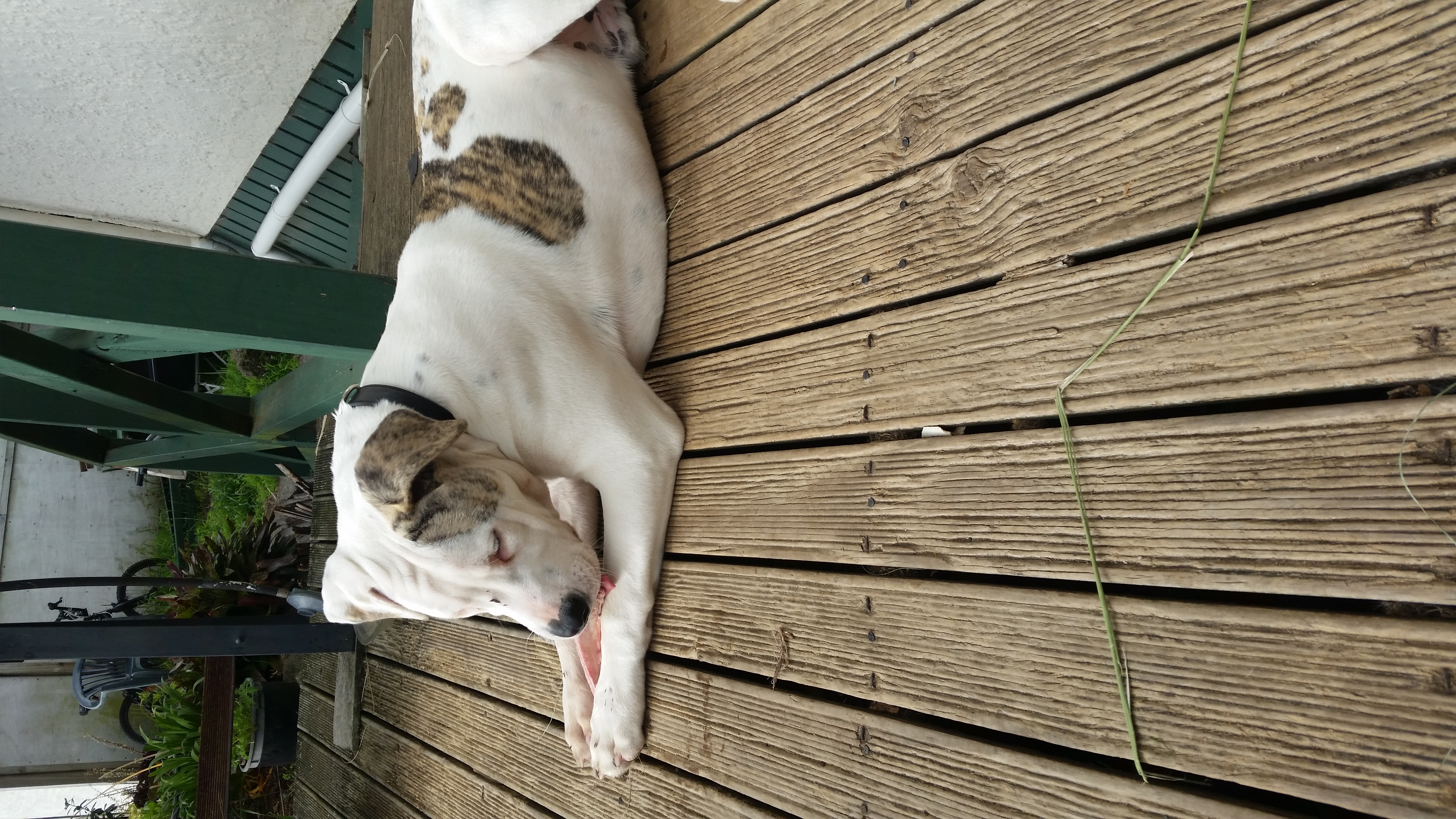 Name:  20190518_122940.jpg
Views: 648
Size:  6.06 MB