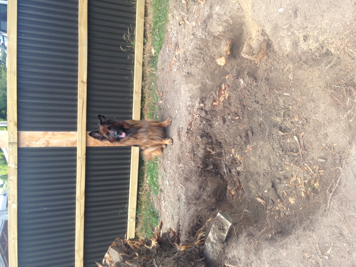 Name:  Big hole impresses the dog.jpeg
Views: 455
Size:  441.6 KB