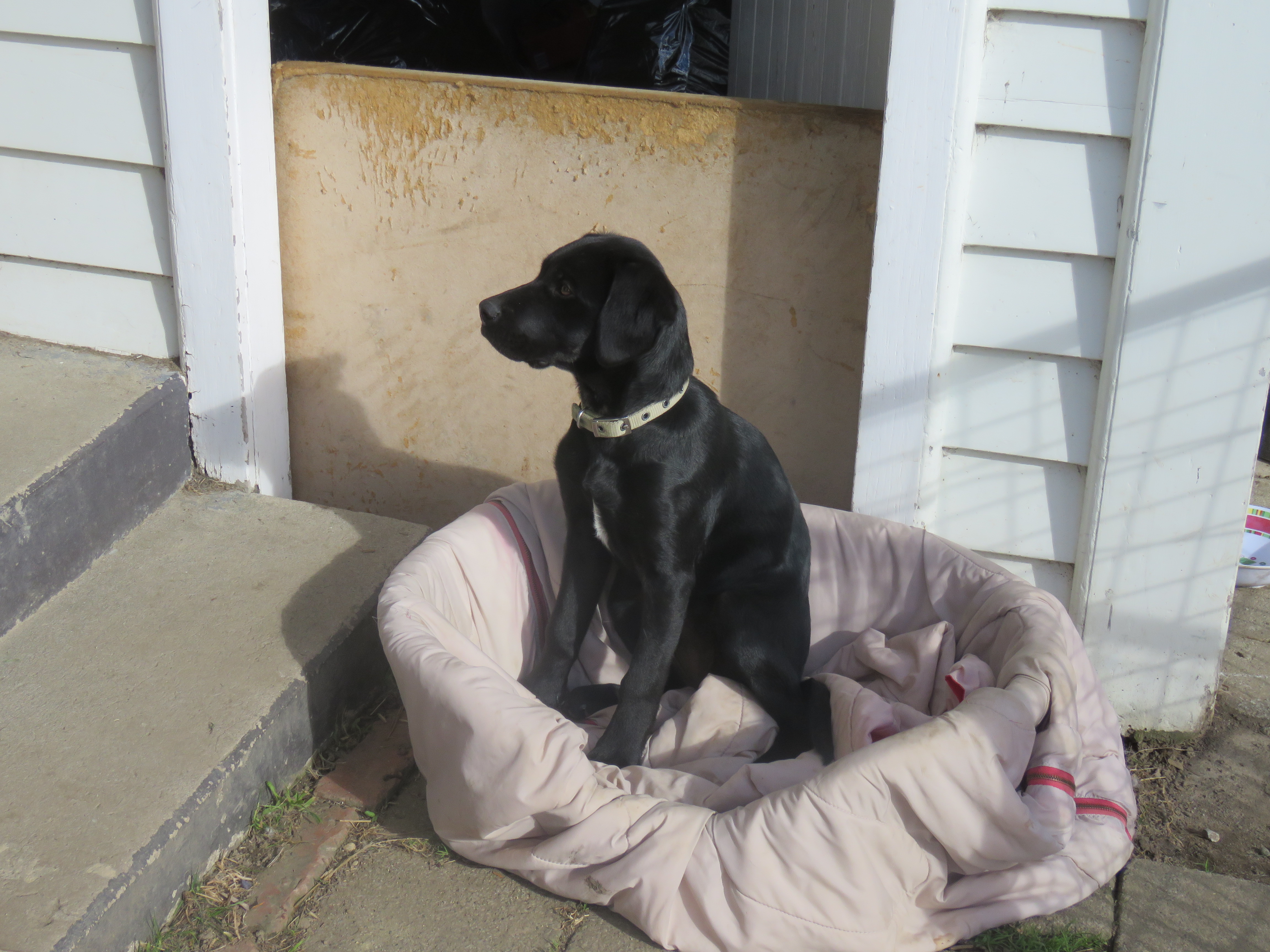 Name:  IMG_1666.JPG
Views: 414
Size:  3.49 MB