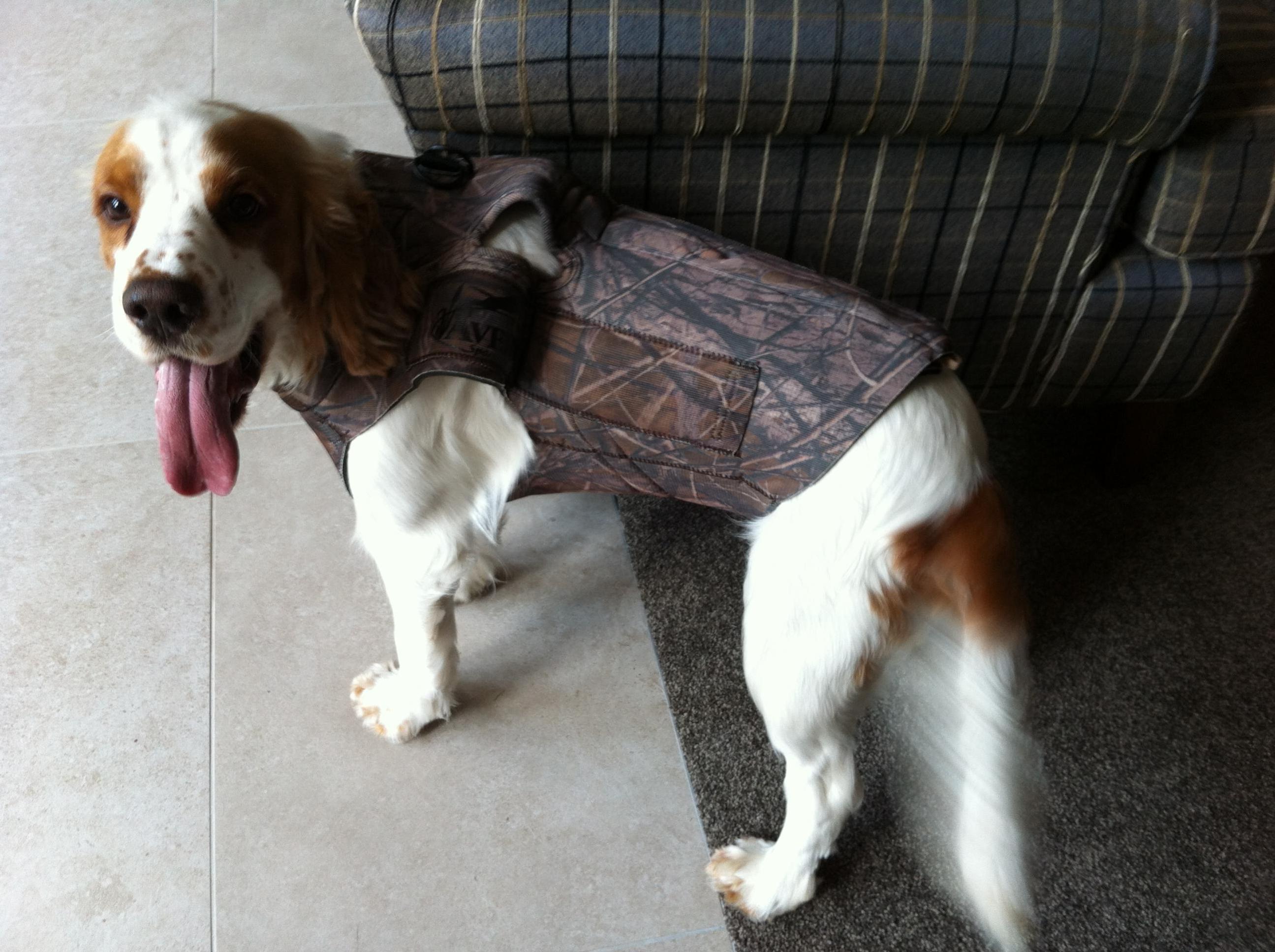 Name:  dog.jpg
Views: 427
Size:  480.6 KB
