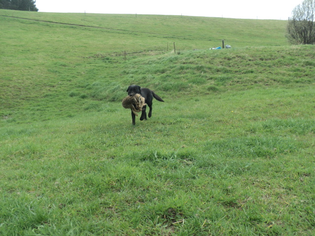Name:  picture 01 4126.jpg
Views: 387
Size:  164.9 KB
