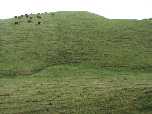 Name:  picture 01 4130.jpg
Views: 419
Size:  163.6 KB