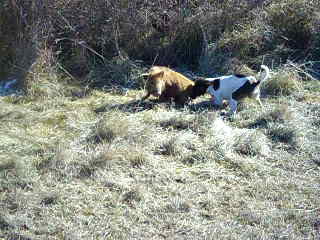 Name:  SAM_0175_20120811-19250211.jpg
Views: 490
Size:  30.9 KB