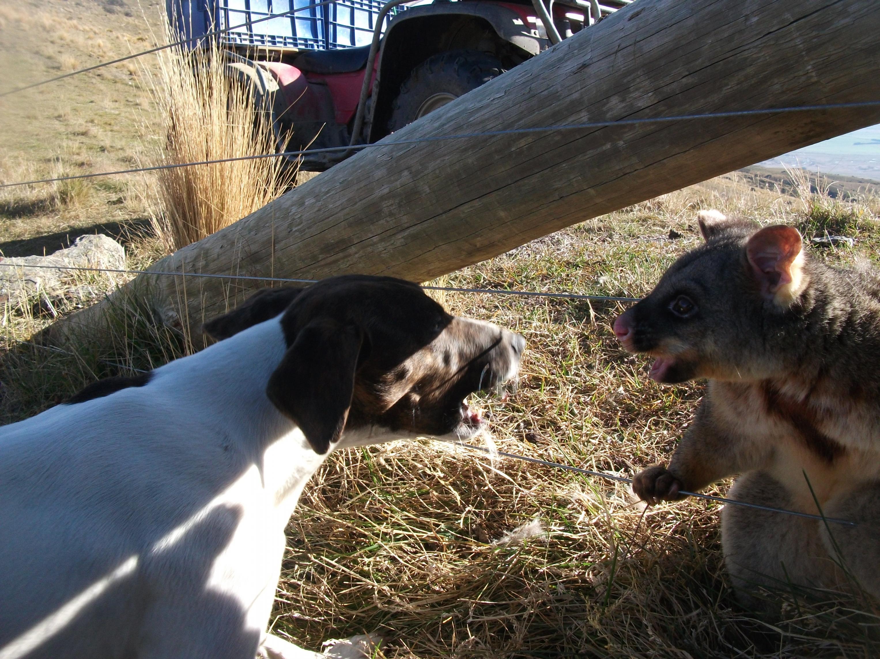 Name:  DSCF3525.jpg
Views: 555
Size:  1.04 MB