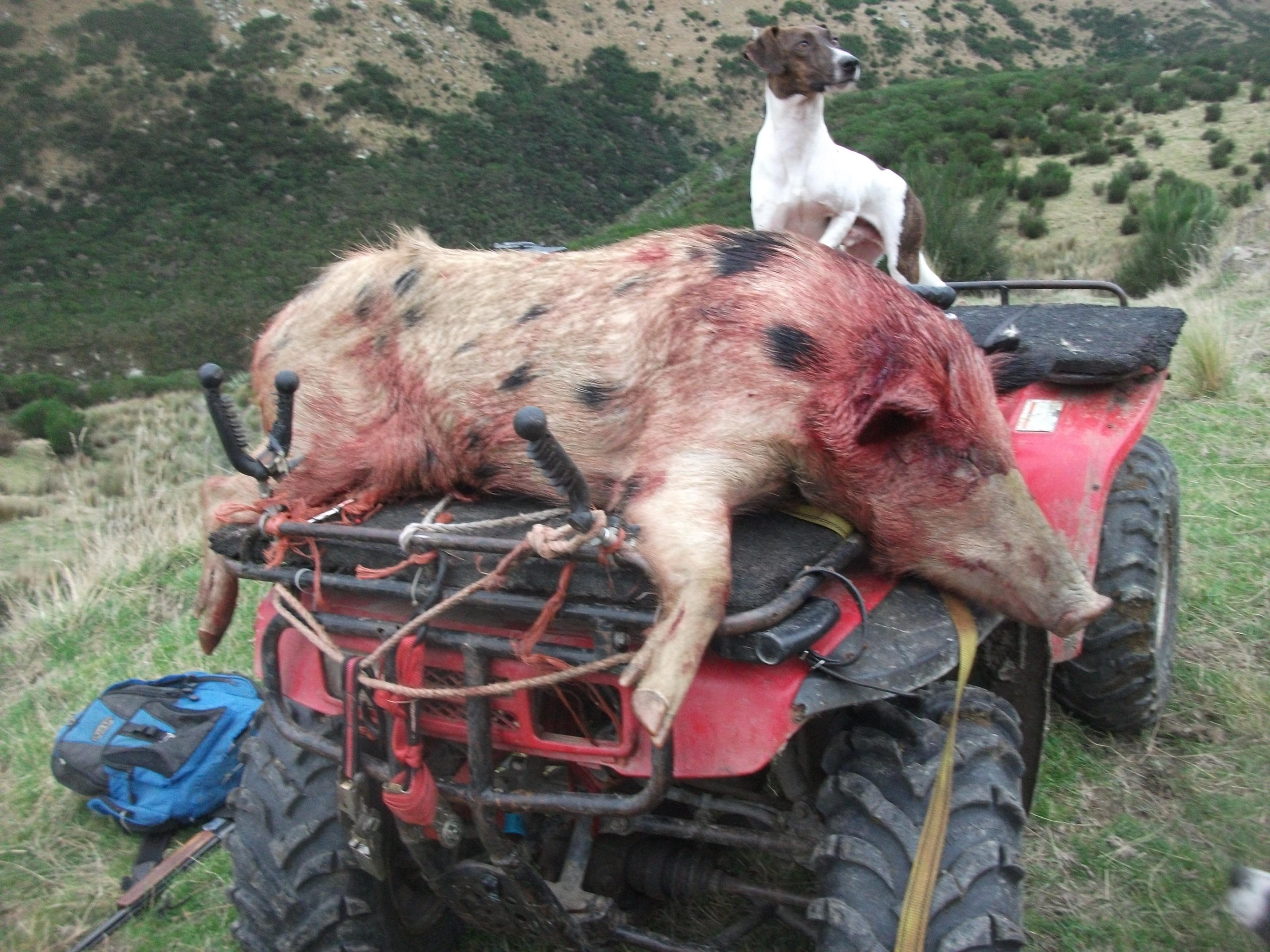 Name:  DSCF5545.jpg
Views: 553
Size:  986.7 KB