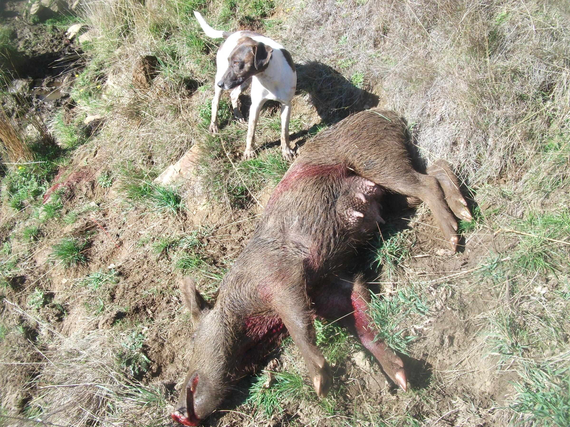 Name:  DSCF5511.jpg
Views: 533
Size:  1.15 MB