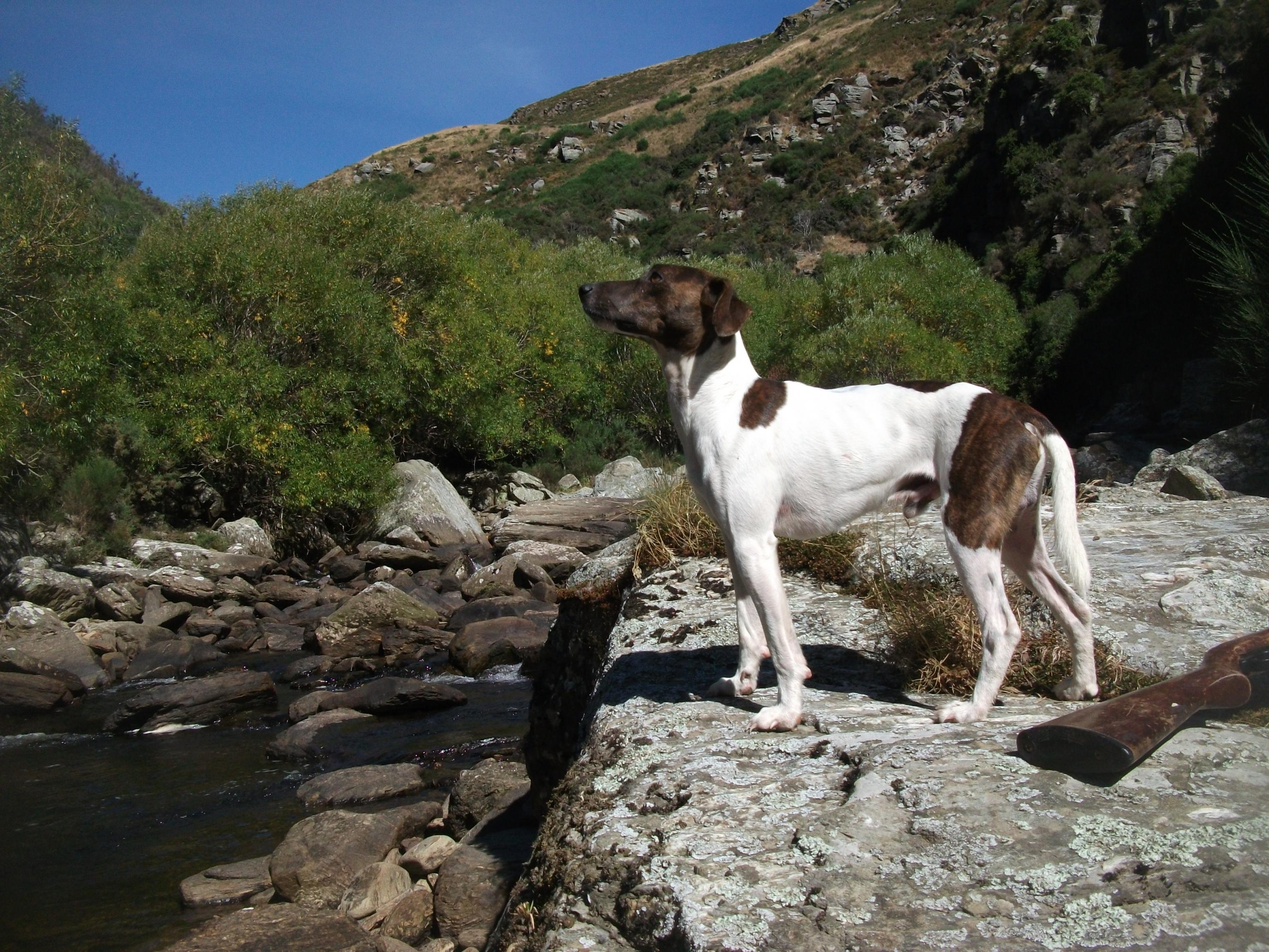 Name:  DSCF5467.jpg
Views: 344
Size:  1.03 MB