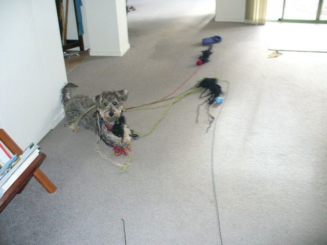 Name:  P1020787.JPG
Views: 478
Size:  173.2 KB