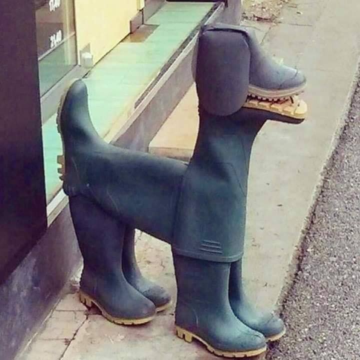 Name:  a-boots.jpg
Views: 493
Size:  60.9 KB