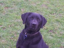 Name:  boof head.jpg
Views: 386
Size:  10.5 KB