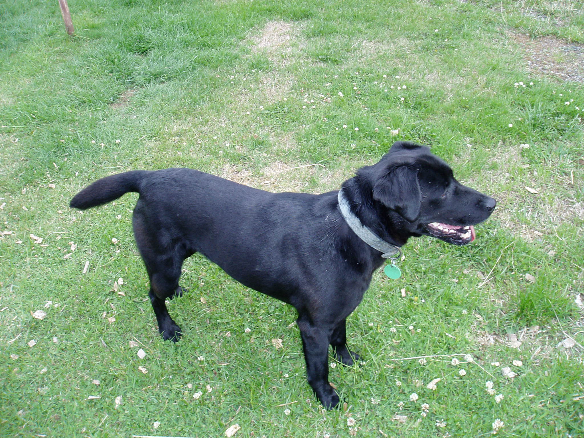Name:  Gypsy-20.JPG
Views: 562
Size:  694.6 KB