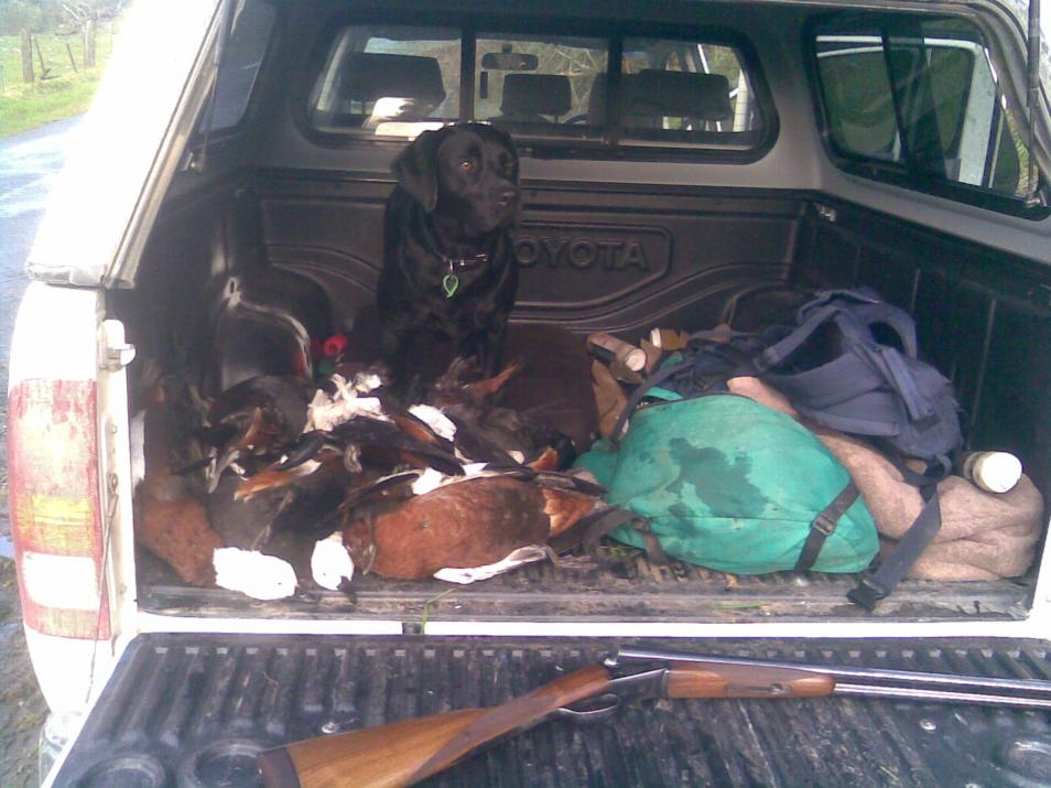 Name:  Image015.jpg
Views: 2054
Size:  92.3 KB