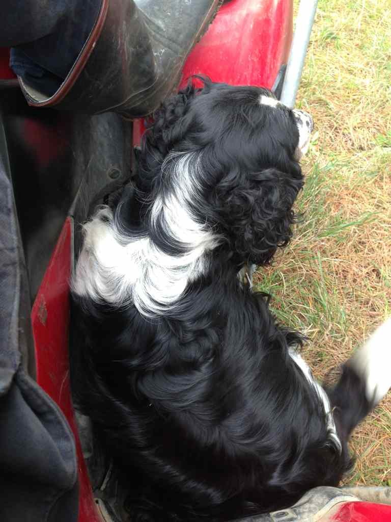 Name:  ImageUploadedByTapatalk1375849246.937161.jpg
Views: 497
Size:  137.9 KB