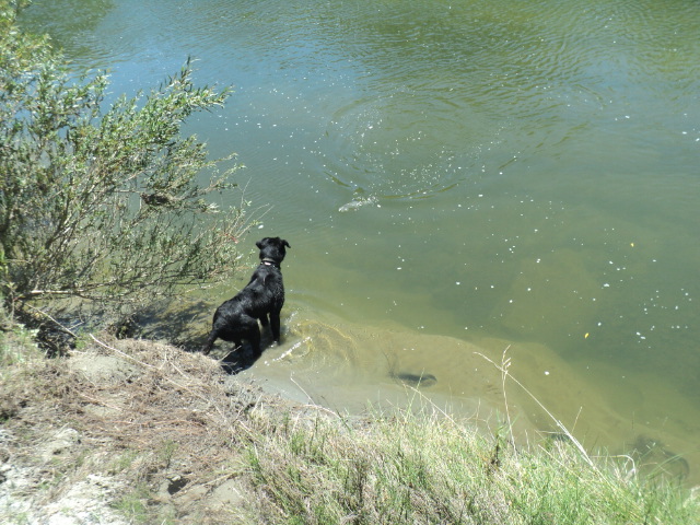 Name:  picture 01 2475.jpg
Views: 335
Size:  164.6 KB
