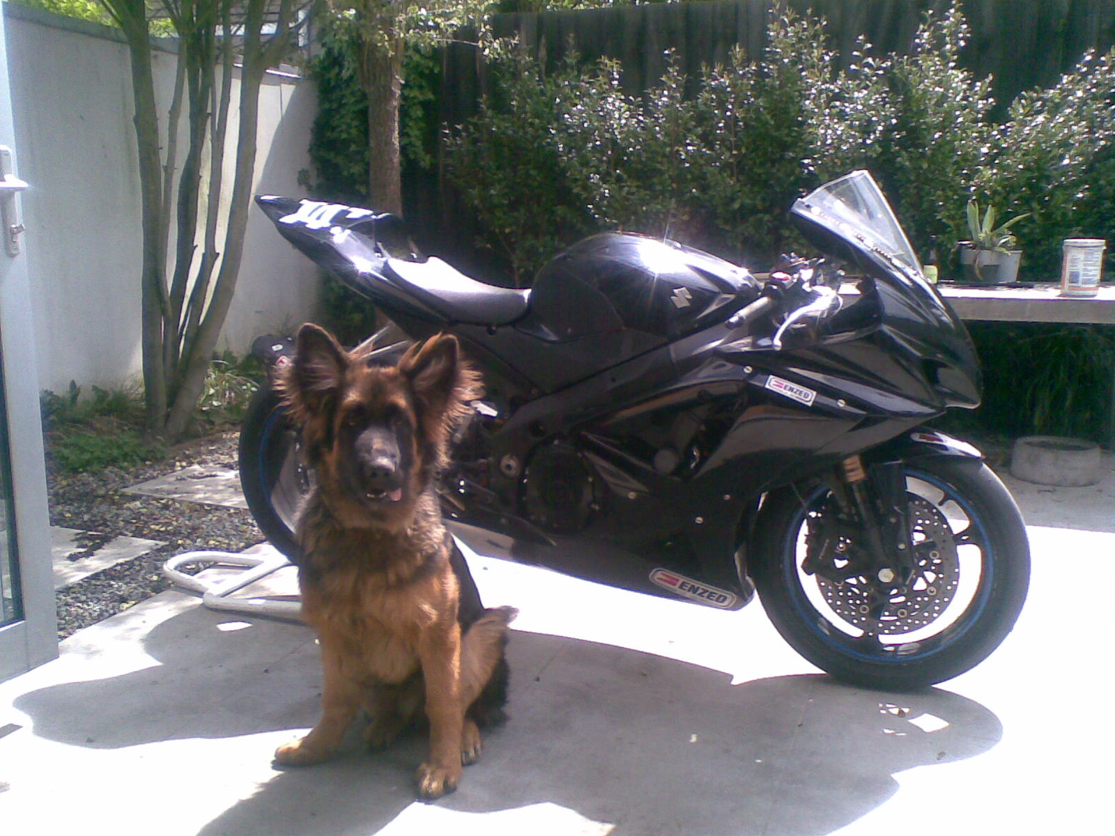 Name:  Stanley 008.jpg
Views: 388
Size:  285.1 KB