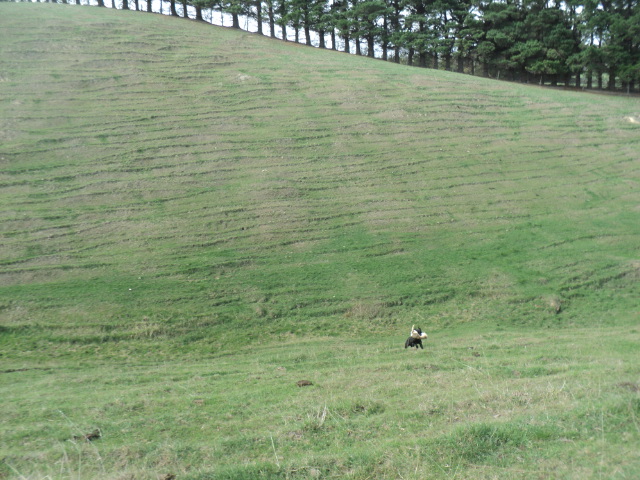 Name:  picture 01 579.jpg
Views: 232
Size:  165.2 KB