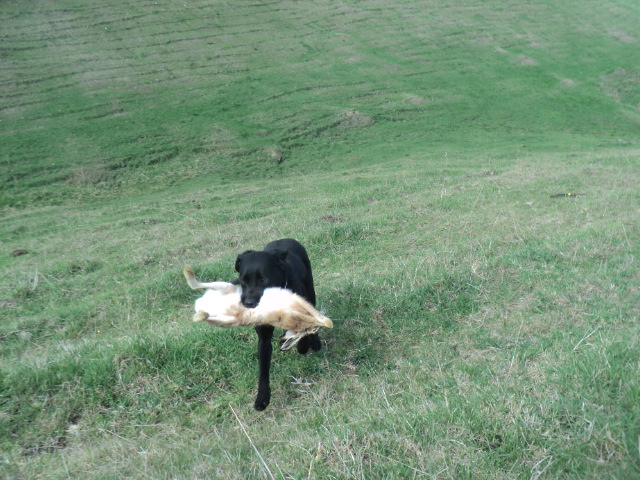 Name:  picture 01 580.jpg
Views: 214
Size:  164.5 KB