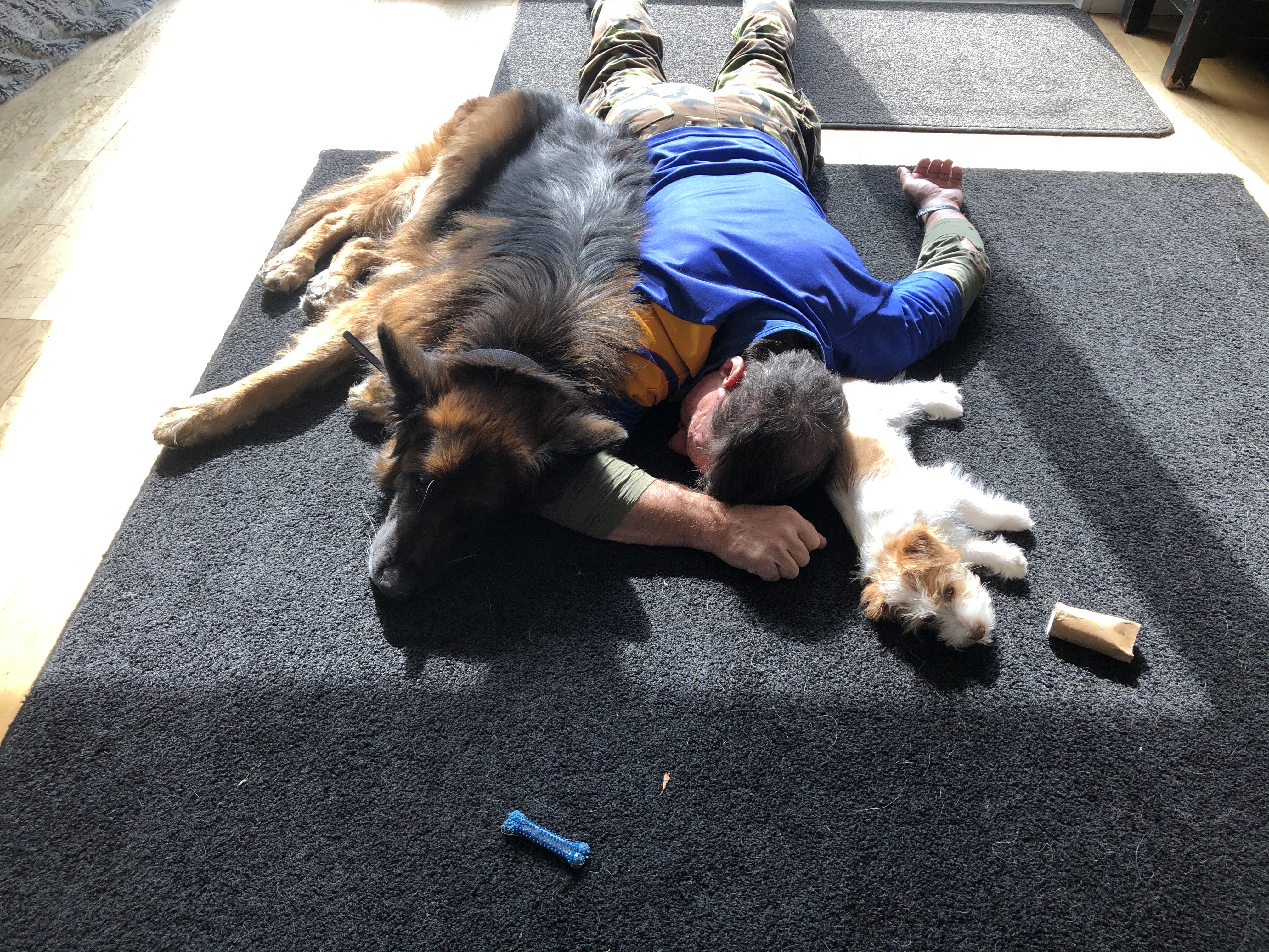 Name:  Me Stanley and Tillly asleep on the floor.jpg
Views: 412
Size:  4.36 MB