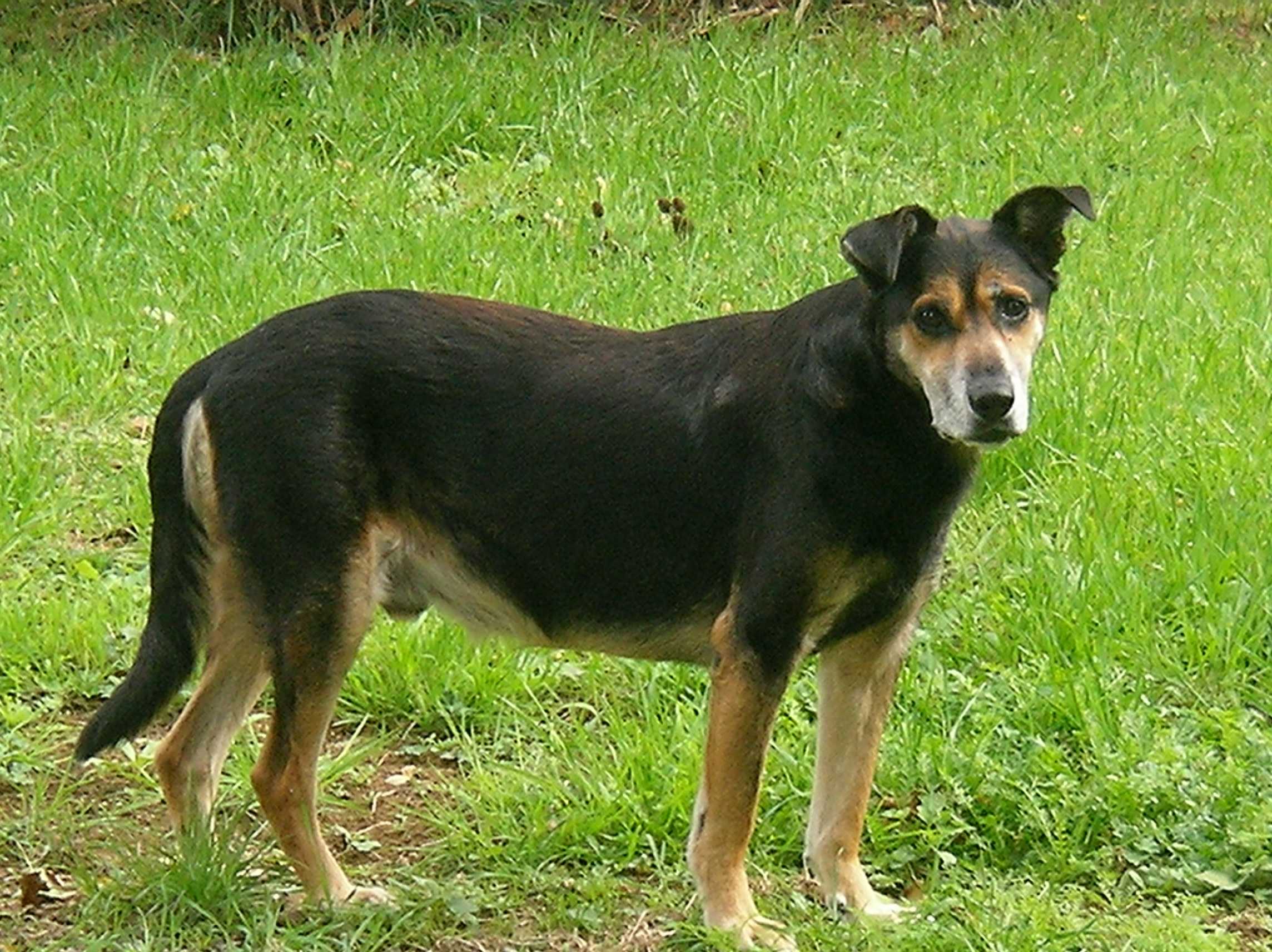 Name:  oldboy.jpg
Views: 403
Size:  388.7 KB