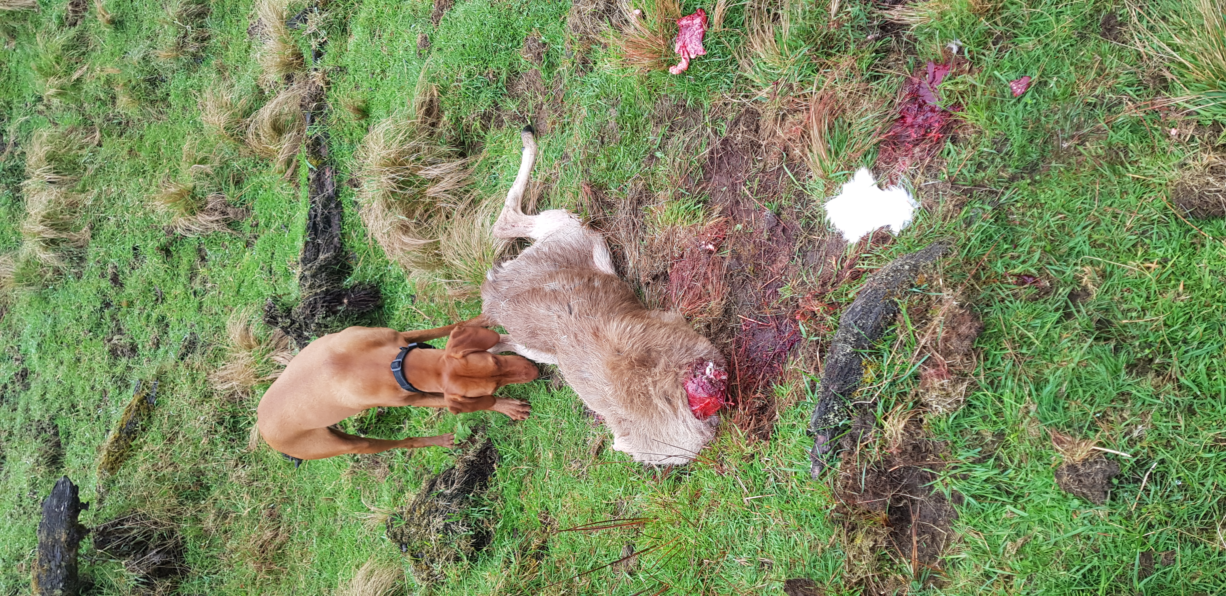 Name:  20201107_081857.jpg
Views: 497
Size:  5.34 MB