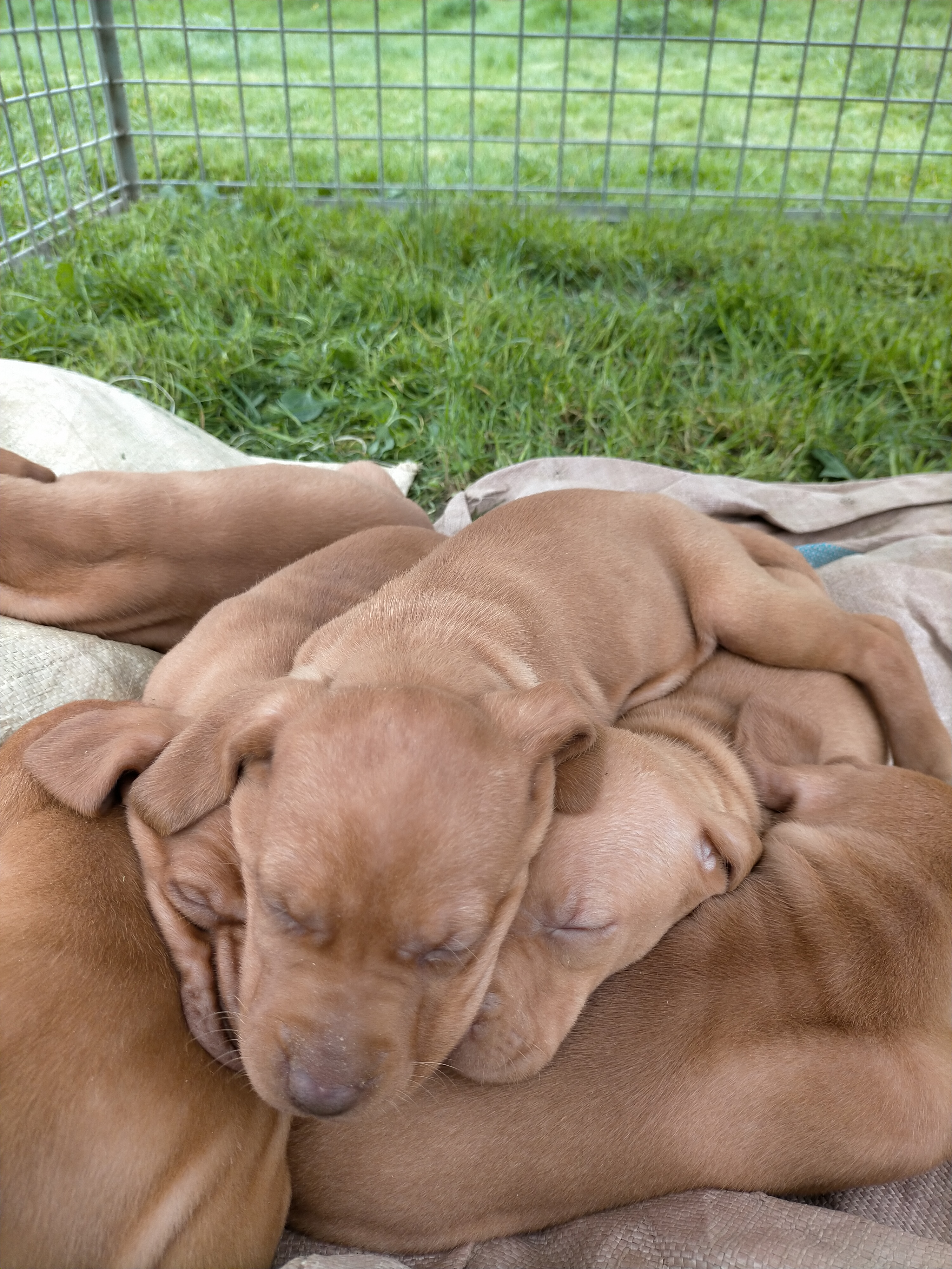 Name:  IMG20201114090641.jpg
Views: 691
Size:  3.98 MB