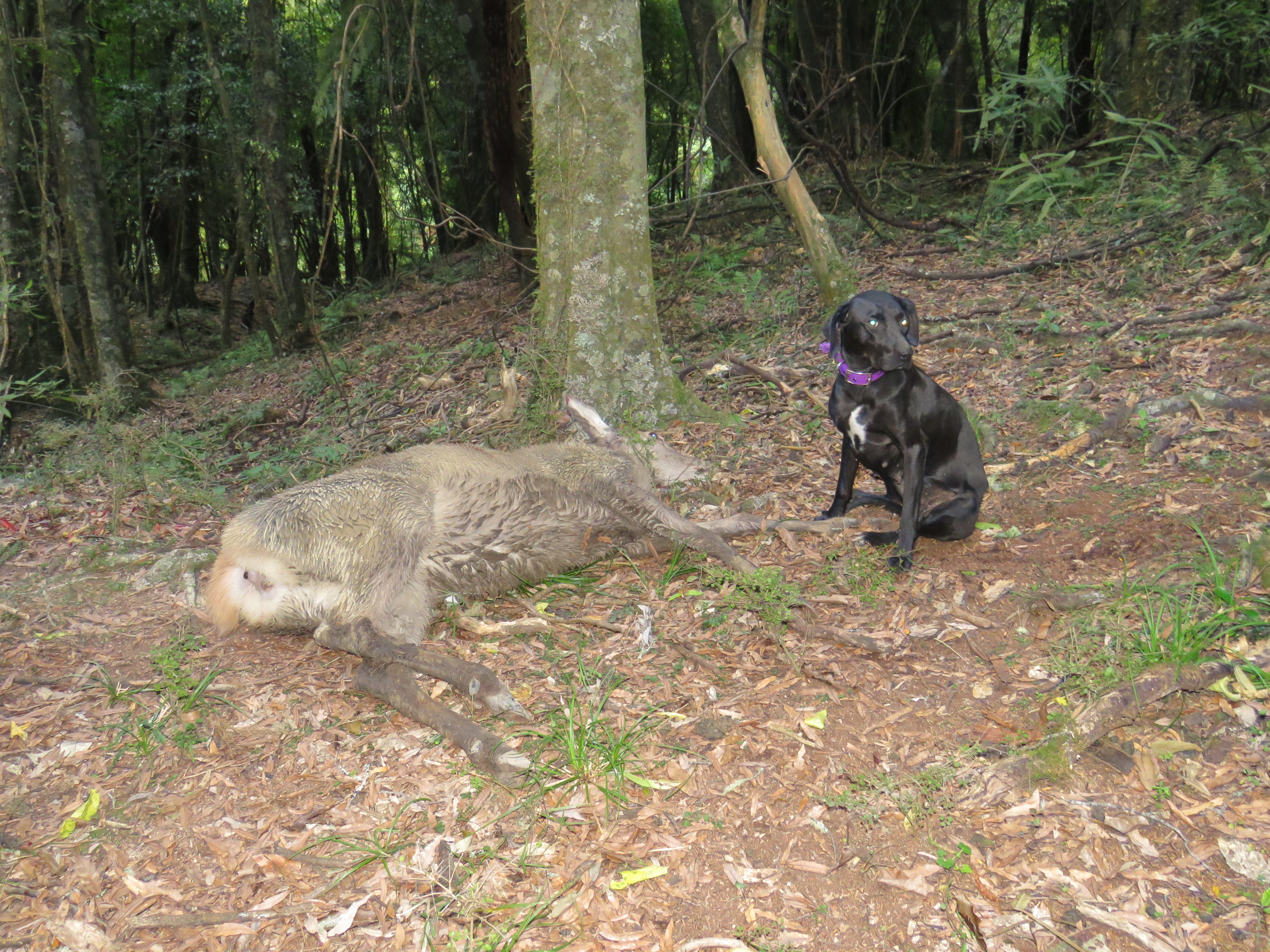 Name:  IMG_1643.JPG
Views: 821
Size:  6.07 MB