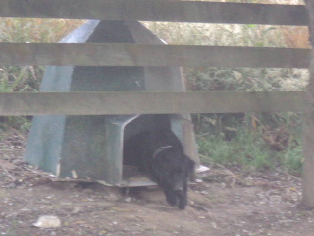 Name:  picture 01 2338.jpg
Views: 133
Size:  164.9 KB