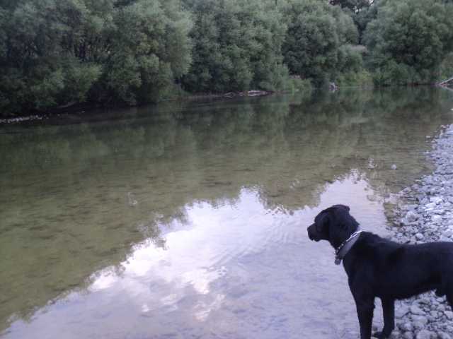 Name:  picture 01 2340.jpg
Views: 140
Size:  164.4 KB