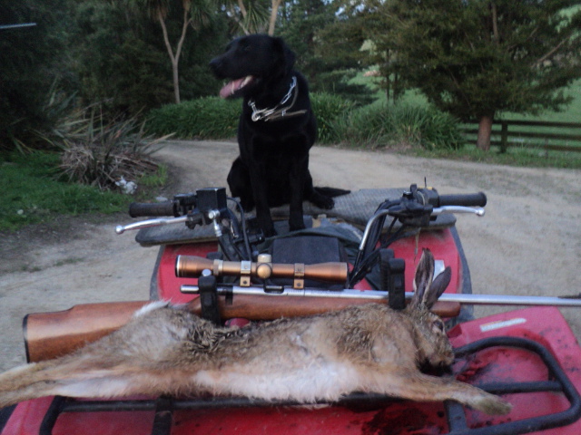 Name:  picture 01 1665.jpg
Views: 141
Size:  164.5 KB