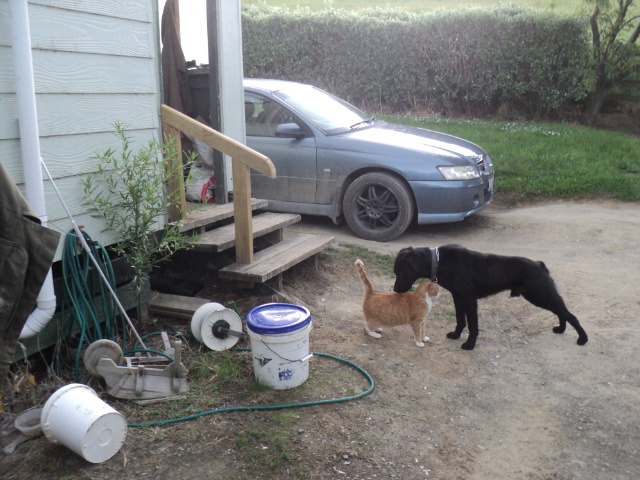 Name:  picture 01 2195.jpg
Views: 128
Size:  163.2 KB