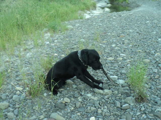Name:  picture 01 2288.jpg
Views: 156
Size:  164.9 KB