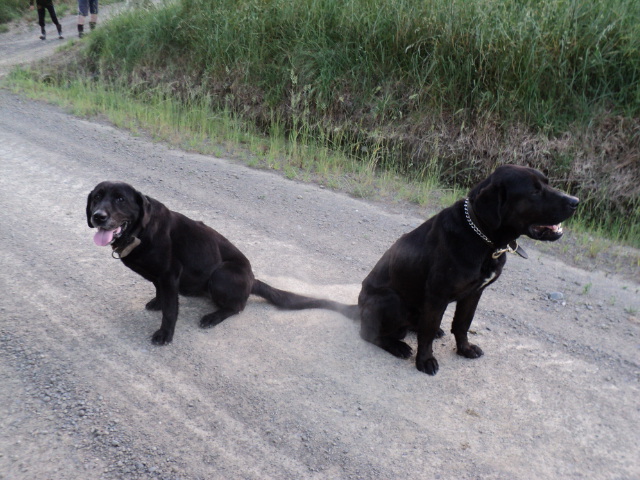 Name:  picture 2631.jpg
Views: 456
Size:  164.5 KB