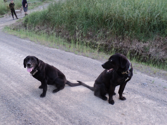 Name:  picture 2630.jpg
Views: 491
Size:  165.2 KB