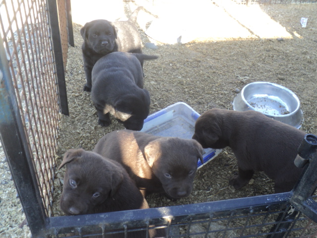 Name:  picture 01 3615.jpg
Views: 288
Size:  162.9 KB