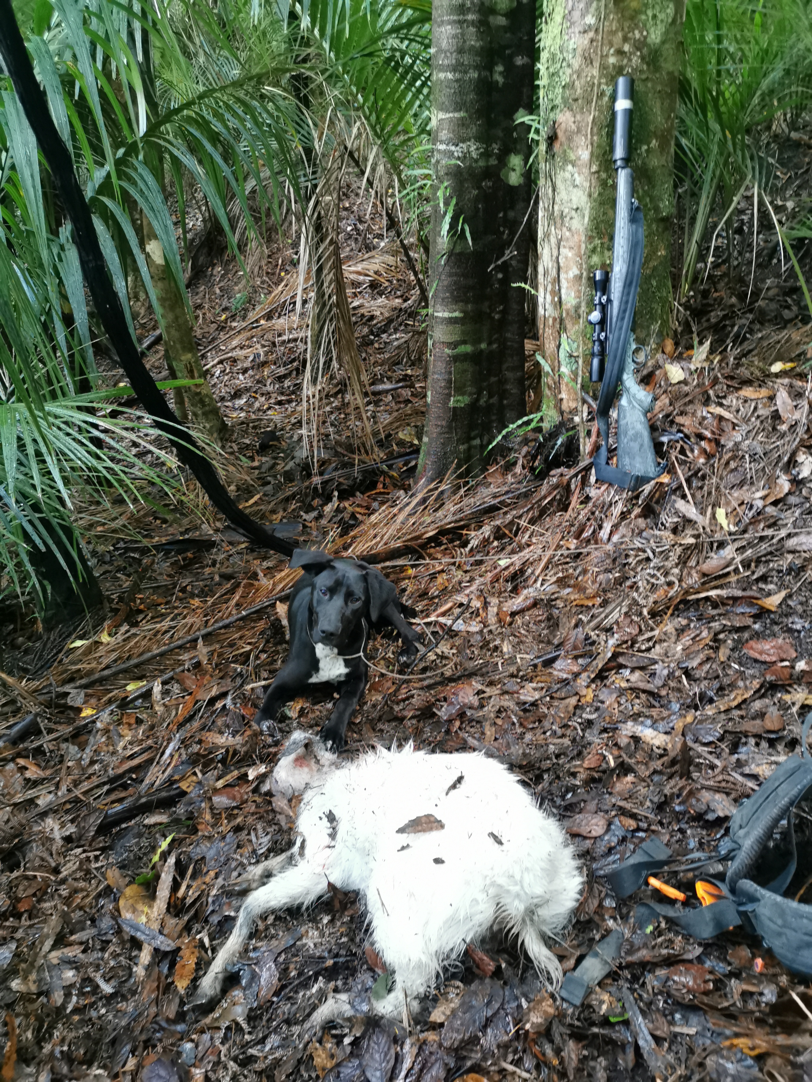 Name:  IMG_20211008_100120.jpg
Views: 358
Size:  4.19 MB