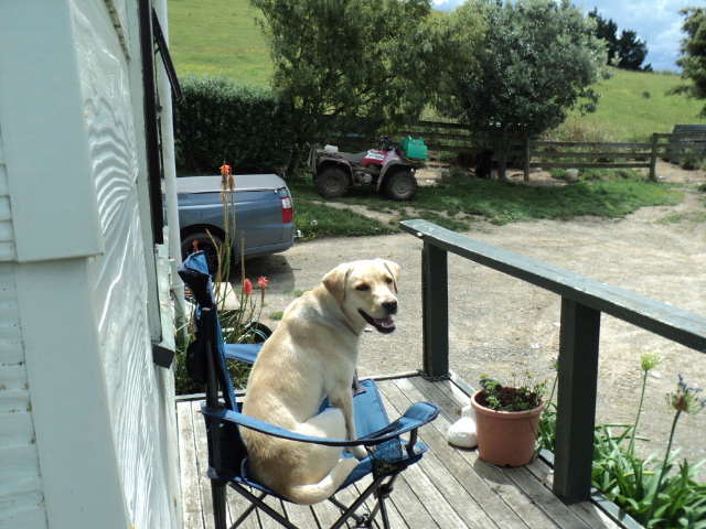 Name:  picture 2748.jpg
Views: 292
Size:  163.6 KB